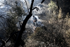 Οι πυροσβέστες έλεγξαν την φωτιά και την έσβησαν στην περιοχή Αφίδνες, Κρυονέρι και άγιο στέφανο. Βαρύς ο απολογισμός με καμμένα σπίτια και δασικές εκτάσεις