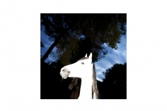 1_alexandros_katsis_Rebirth_001